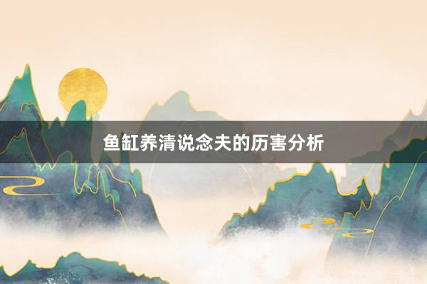 鱼缸养清说念夫的历害分析