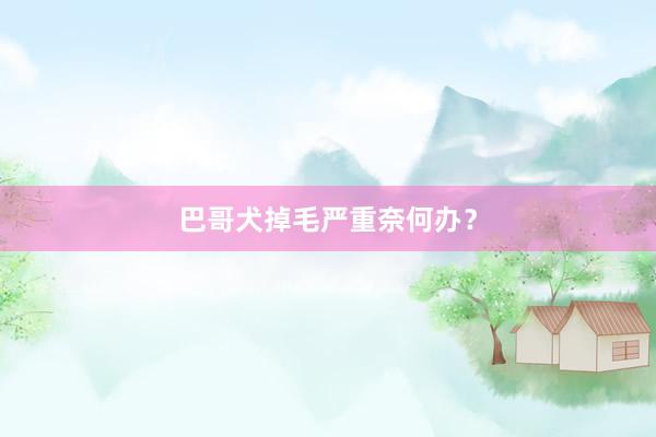 巴哥犬掉毛严重奈何办？